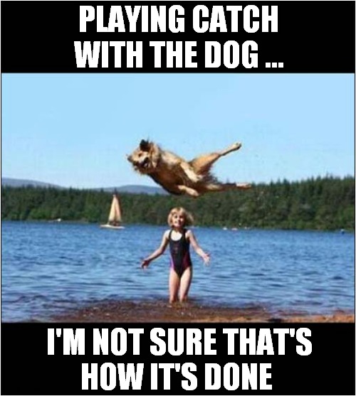 Looks Like Fun ! | PLAYING CATCH WITH THE DOG ... I'M NOT SURE THAT'S
HOW IT'S DONE | image tagged in dogs,playing,catch | made w/ Imgflip meme maker