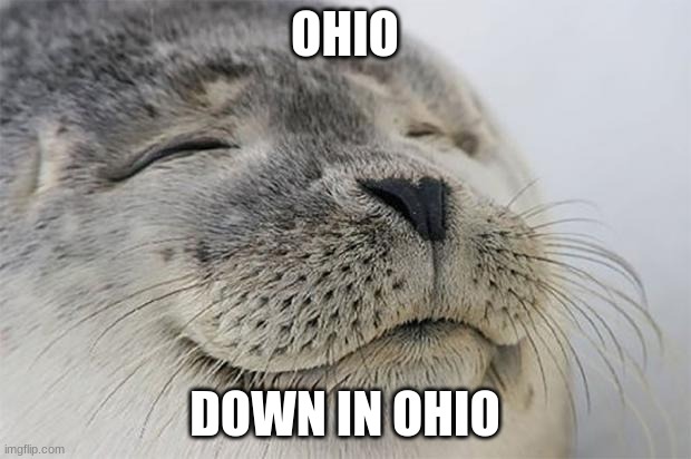 ohio | OHIO; DOWN IN OHIO | image tagged in memes,satisfied seal | made w/ Imgflip meme maker