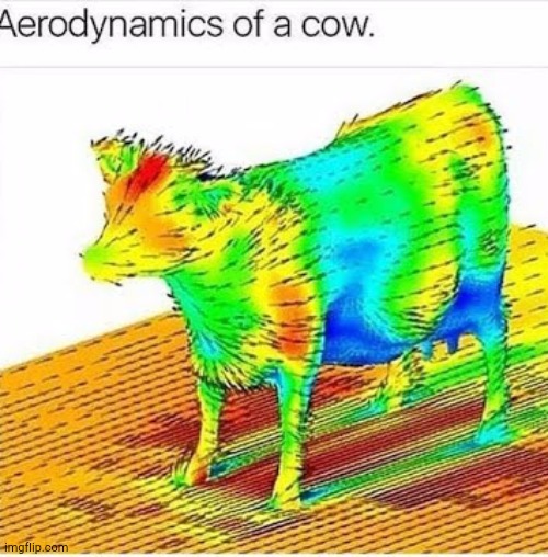Aerodynamics of a cow | made w/ Imgflip meme maker