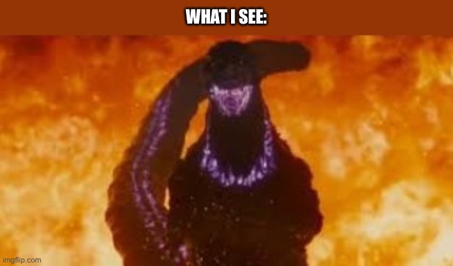 Shin godzilla fire atomic breath | WHAT I SEE: | image tagged in shin godzilla fire atomic breath | made w/ Imgflip meme maker