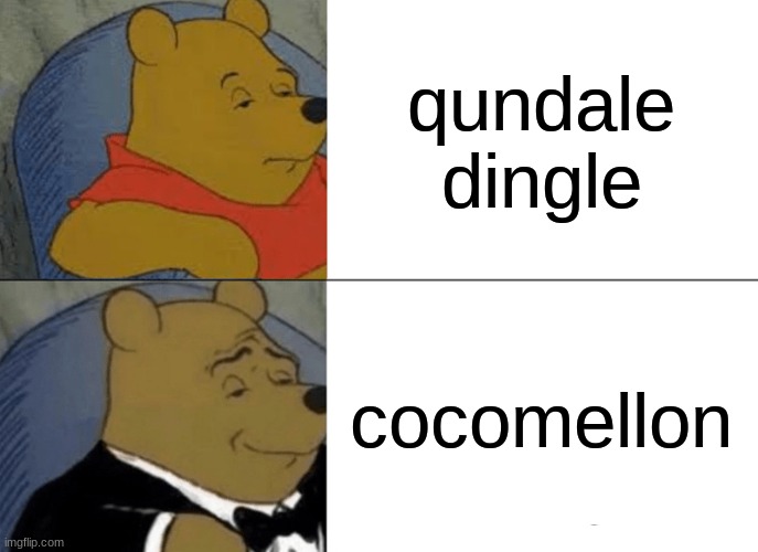 idk | qundale dingle; cocomellon | image tagged in memes,tuxedo winnie the pooh | made w/ Imgflip meme maker