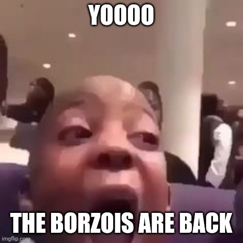 shocking | YOOOO; THE BORZOIS ARE BACK | image tagged in shocking | made w/ Imgflip meme maker