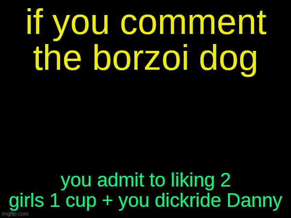 drizzy text temp | if you comment the borzoi dog; you admit to liking 2 girls 1 cup + you dickride Danny | image tagged in drizzy text temp | made w/ Imgflip meme maker