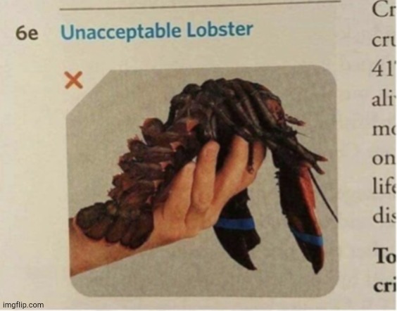 Unacceptable lobster | made w/ Imgflip meme maker