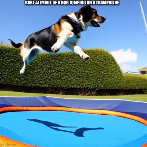 dog jumping | RARE AI IMAGE OF A DOG JUMPING ON A TRAMPOLINE | image tagged in trampoline,dog,jumping | made w/ Imgflip meme maker