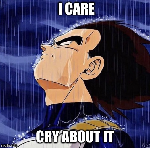 Vegeta in the rain | I CARE CRY ABOUT IT | image tagged in vegeta in the rain | made w/ Imgflip meme maker