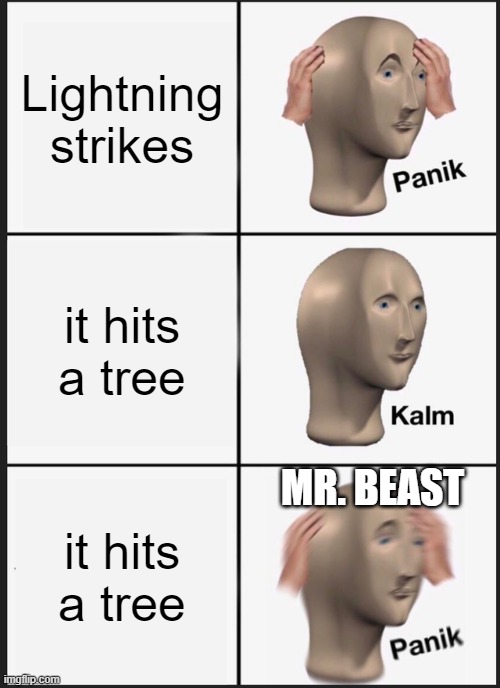 Mr. Beast | Lightning strikes; it hits a tree; MR. BEAST; it hits a tree | image tagged in memes,panik kalm panik | made w/ Imgflip meme maker