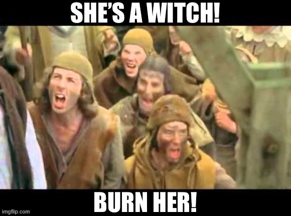 Monty Python she’s a witch burn her | image tagged in monty python she s a witch burn her | made w/ Imgflip meme maker