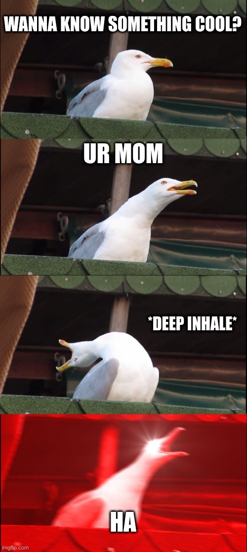 Inhaling Seagull | WANNA KNOW SOMETHING COOL? UR MOM; *DEEP INHALE*; HA | image tagged in memes,inhaling seagull | made w/ Imgflip meme maker