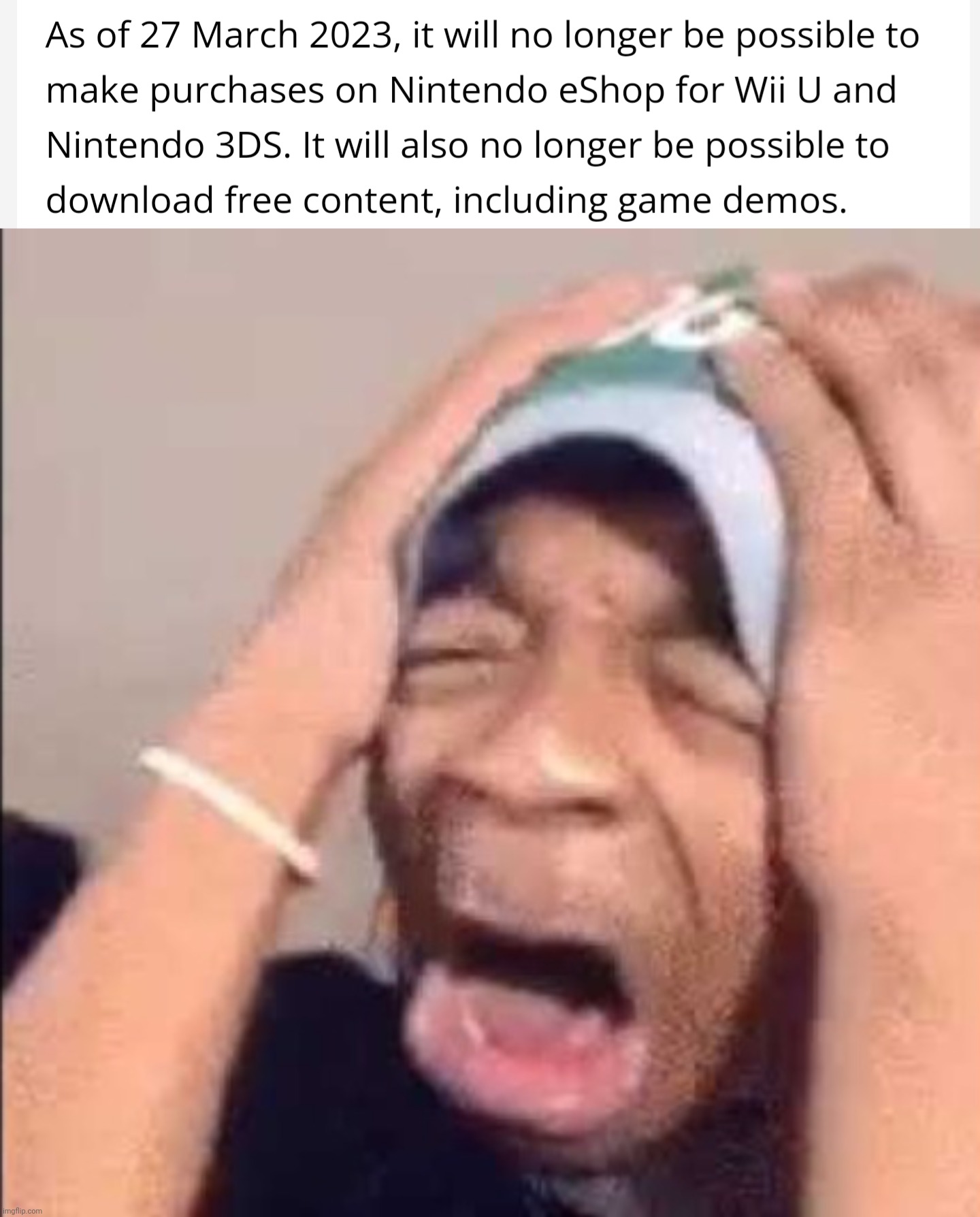 I STILL HAVEN'T MERGED MY FUNDS YET PLEASE NOOOO | image tagged in flightreacts crying,nintendo eshop | made w/ Imgflip meme maker