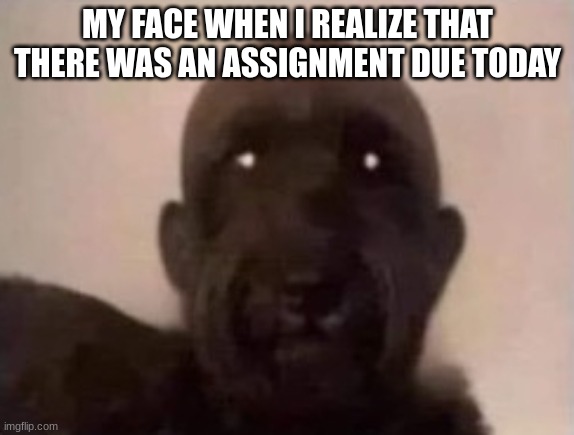 My face when | MY FACE WHEN I REALIZE THAT THERE WAS AN ASSIGNMENT DUE TODAY | image tagged in dog face,goofy | made w/ Imgflip meme maker