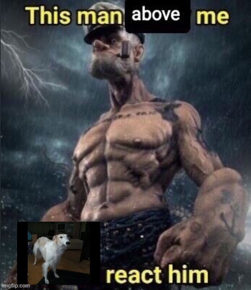 this man above me fish react him | image tagged in this man above me fish react him | made w/ Imgflip meme maker