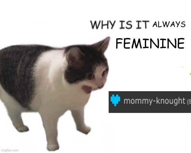 bro what if wingstop fries | ALWAYS; FEMININE | image tagged in cat screaming | made w/ Imgflip meme maker