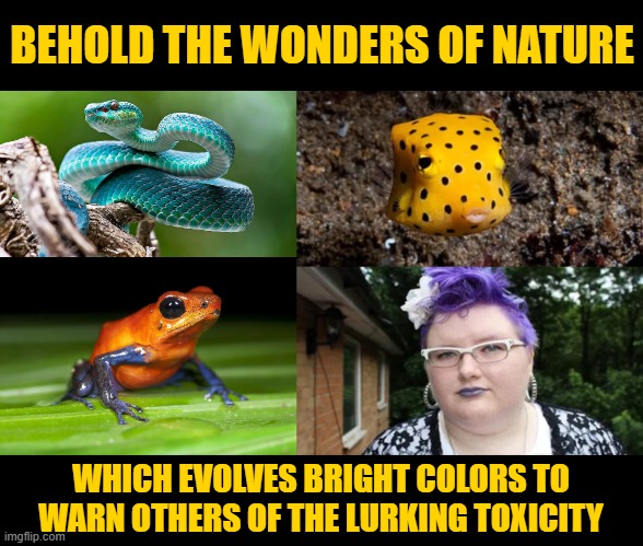BEHOLD THE WONDERS OF NATURE WHICH EVOLVES BRIGHT COLORS TO WARN OTHERS OF THE LURKING TOXICITY | made w/ Imgflip meme maker