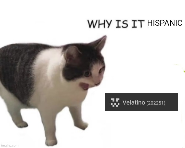 cat screaming | HISPANIC | image tagged in cat screaming | made w/ Imgflip meme maker