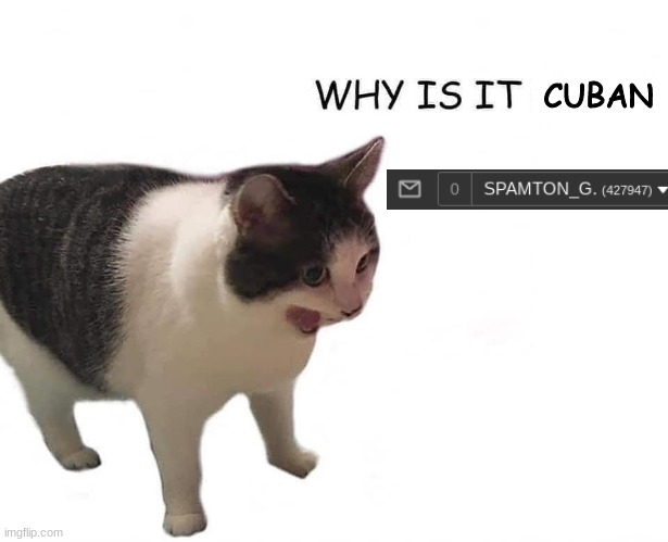 Why is it empty | CUBAN | image tagged in why is it empty | made w/ Imgflip meme maker