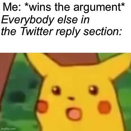 :O | Me: *wins the argument*; Everybody else in the Twitter reply section: | image tagged in memes,surprised pikachu,twitter | made w/ Imgflip meme maker