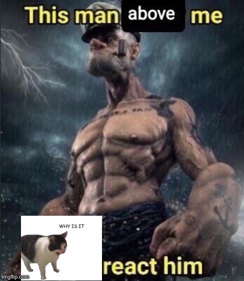 this man above me fish react him | image tagged in this man above me fish react him | made w/ Imgflip meme maker
