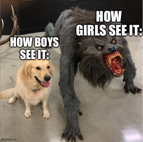 I can relate lol | HOW GIRLS SEE IT:; HOW BOYS SEE IT: | image tagged in dog vs werewolf | made w/ Imgflip meme maker