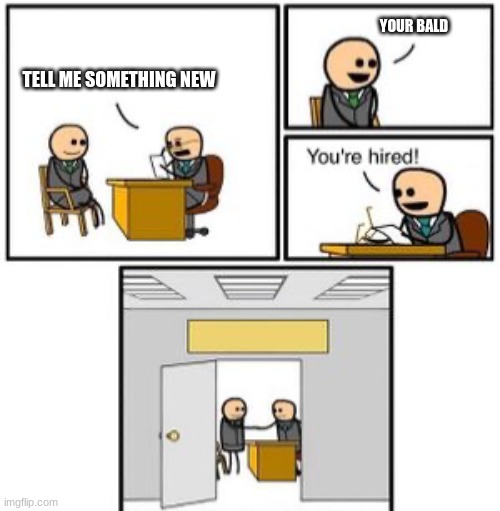 Stop lookin here! | YOUR BALD; TELL ME SOMETHING NEW | image tagged in business interview | made w/ Imgflip meme maker