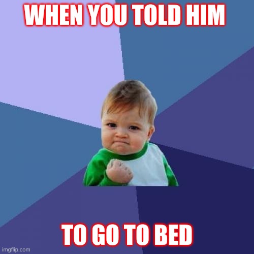 Success Kid Meme | WHEN YOU TOLD HIM; TO GO TO BED | image tagged in memes,success kid | made w/ Imgflip meme maker