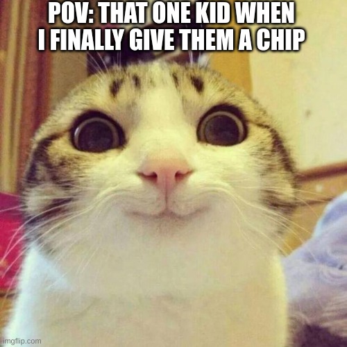 man i swear all the time | POV: THAT ONE KID WHEN I FINALLY GIVE THEM A CHIP | image tagged in memes,smiling cat | made w/ Imgflip meme maker