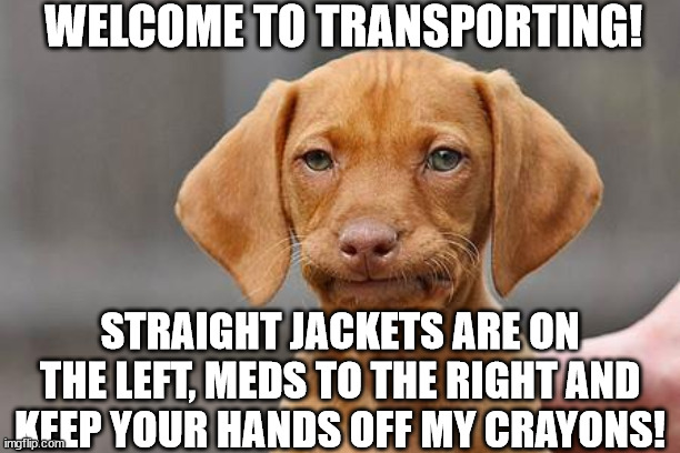 Welcome to transporting | WELCOME TO TRANSPORTING! STRAIGHT JACKETS ARE ON THE LEFT, MEDS TO THE RIGHT AND KEEP YOUR HANDS OFF MY CRAYONS! | image tagged in dissapointed puppy | made w/ Imgflip meme maker