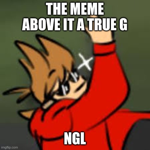 the meme above is | THE MEME ABOVE IT A TRUE G NGL | image tagged in the meme above is | made w/ Imgflip meme maker