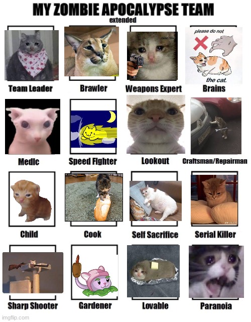 this took me 15 minutes | image tagged in my zombie apocalypse team,cat,crying cat,floppa,bingus | made w/ Imgflip meme maker