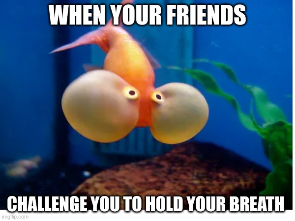 gg | WHEN YOUR FRIENDS; CHALLENGE YOU TO HOLD YOUR BREATH | image tagged in funny | made w/ Imgflip meme maker