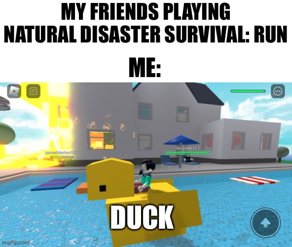 I got bored | MY FRIENDS PLAYING NATURAL DISASTER SURVIVAL: RUN; ME:; DUCK | image tagged in roblox,roblox meme,duck | made w/ Imgflip meme maker
