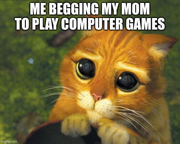 puss in boots | ME BEGGING MY MOM TO PLAY COMPUTER GAMES | image tagged in puss in boots | made w/ Imgflip meme maker