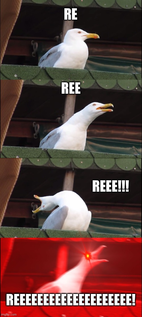 Inhaling Seagull | RE; REE; REEE!!! REEEEEEEEEEEEEEEEEEEE! | image tagged in memes,inhaling seagull | made w/ Imgflip meme maker