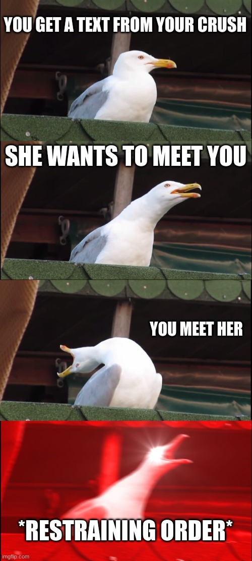 Inhaling Seagull Meme | YOU GET A TEXT FROM YOUR CRUSH; SHE WANTS TO MEET YOU; YOU MEET HER; *RESTRAINING ORDER* | image tagged in memes,inhaling seagull | made w/ Imgflip meme maker