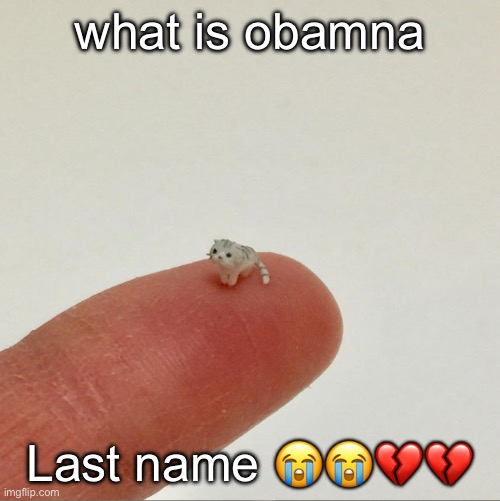 el wiwi | what is obamna; Last name 😭😭💔💔 | image tagged in el wiwi | made w/ Imgflip meme maker