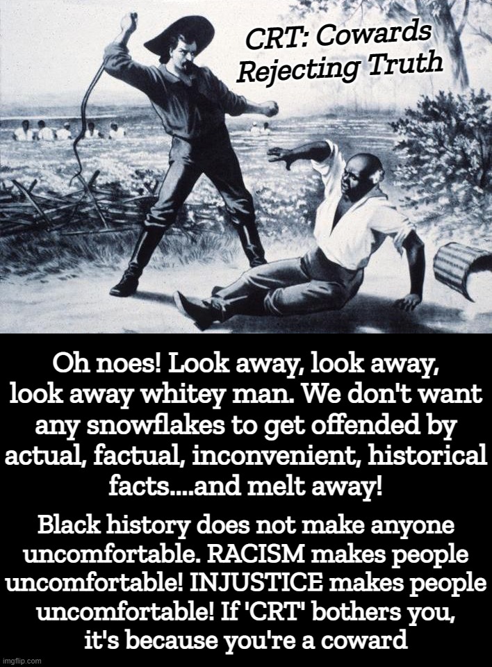 CRT | CRT: Cowards Rejecting Truth; Oh noes! Look away, look away,
look away whitey man. We don't want
any snowflakes to get offended by
actual, factual, inconvenient, historical
facts....and melt away! Black history does not make anyone
uncomfortable. RACISM makes people
uncomfortable! INJUSTICE makes people
uncomfortable! If 'CRT' bothers you,
it's because you're a coward | image tagged in cowards,rejecting,truth,look,away,snow white | made w/ Imgflip meme maker