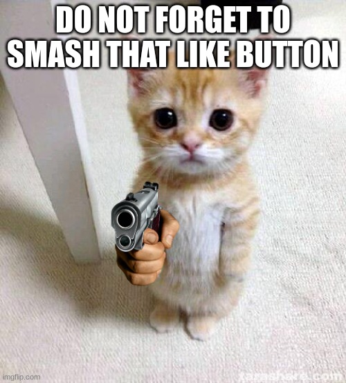 most youtubers | DO NOT FORGET TO SMASH THAT LIKE BUTTON | image tagged in memes,cute cat | made w/ Imgflip meme maker