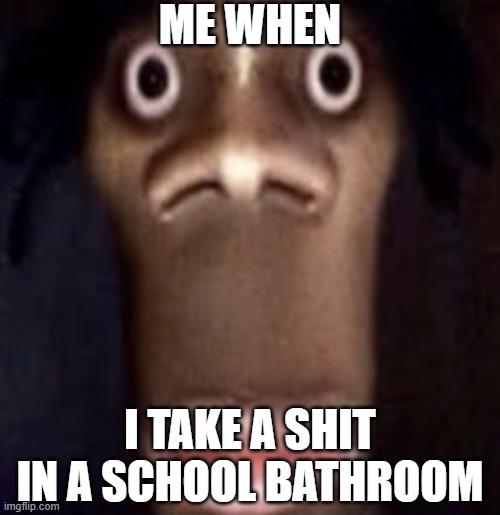 Quandale dingle | ME WHEN; I TAKE A SHIT IN A SCHOOL BATHROOM | image tagged in quandale dingle | made w/ Imgflip meme maker