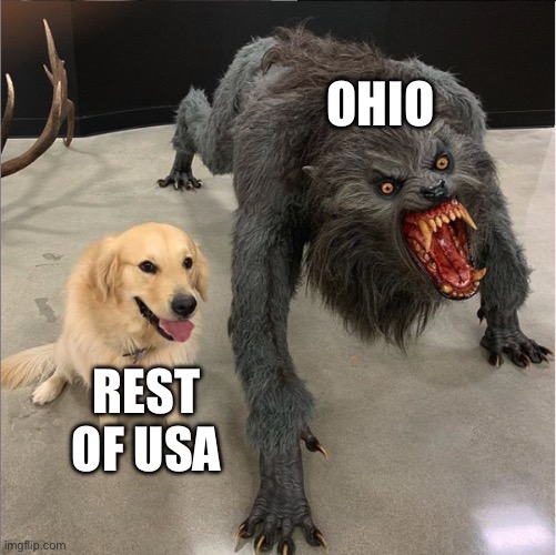 only in ohio ? | OHIO REST OF USA | image tagged in dog vs werewolf,ohio state | made w/ Imgflip meme maker