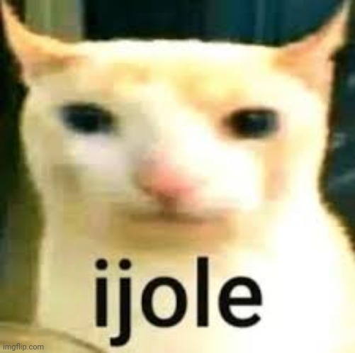 ijole | image tagged in ijole | made w/ Imgflip meme maker