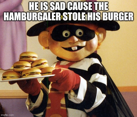 Hamburglar | HE IS SAD CAUSE THE HAMBURGALER STOLE HIS BURGER | image tagged in hamburglar | made w/ Imgflip meme maker