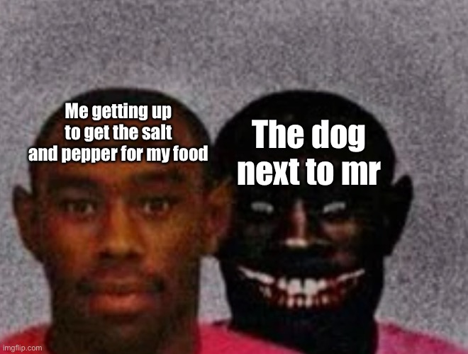 Good Tyler and Bad Tyler | Me getting up to get the salt and pepper for my food; The dog next to me | image tagged in good tyler and bad tyler | made w/ Imgflip meme maker