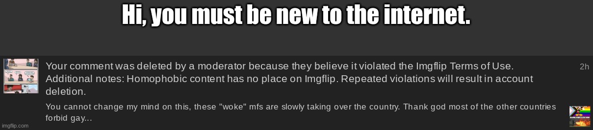 Hi, you must be new to the internet. | made w/ Imgflip meme maker