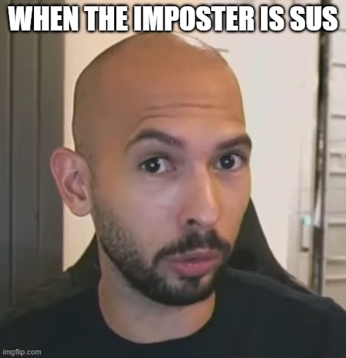 Andrew Tate No Bitches | WHEN THE IMPOSTER IS SUS | image tagged in andrew tate no bitches | made w/ Imgflip meme maker