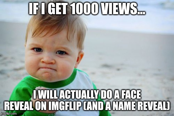 i am not lying | IF I GET 1000 VIEWS... I WILL ACTUALLY DO A FACE REVEAL ON IMGFLIP (AND A NAME REVEAL) | image tagged in memes,success kid original | made w/ Imgflip meme maker