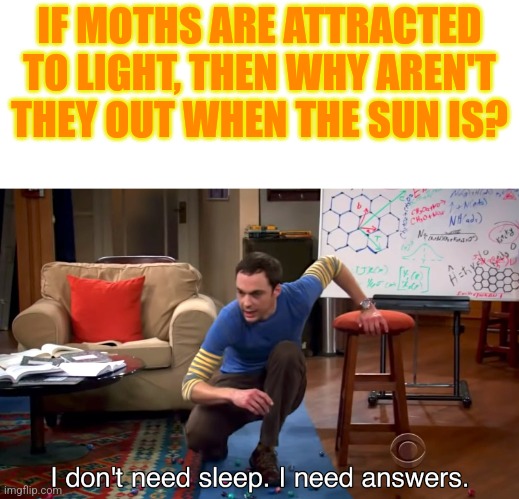 I bet there's gonna be at least one person explaining why | IF MOTHS ARE ATTRACTED TO LIGHT, THEN WHY AREN'T THEY OUT WHEN THE SUN IS? | image tagged in i don't need sleep i need answers,memes | made w/ Imgflip meme maker