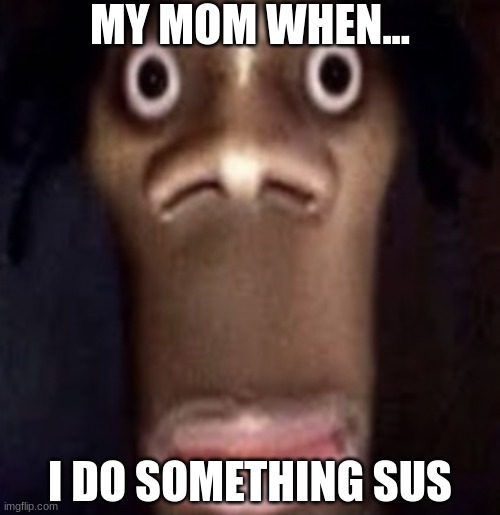 POV: moms be like | MY MOM WHEN... I DO SOMETHING SUS | image tagged in quandale dingle | made w/ Imgflip meme maker