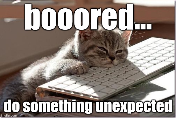 Bored Keyboard Cat | booored... do something unexpected | image tagged in bored keyboard cat | made w/ Imgflip meme maker