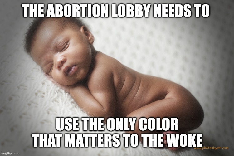 50 shades other than white | THE ABORTION LOBBY NEEDS TO; USE THE ONLY COLOR THAT MATTERS TO THE WOKE | image tagged in black baby | made w/ Imgflip meme maker