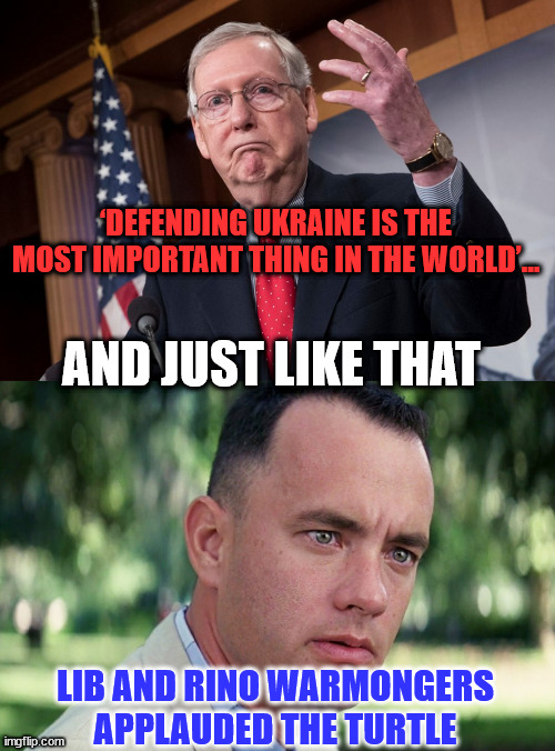 These warmongers are in for a rude awakening... | ‘DEFENDING UKRAINE IS THE MOST IMPORTANT THING IN THE WORLD’…; AND JUST LIKE THAT; LIB AND RINO WARMONGERS APPLAUDED THE TURTLE | image tagged in memes,and just like that,stupid people | made w/ Imgflip meme maker